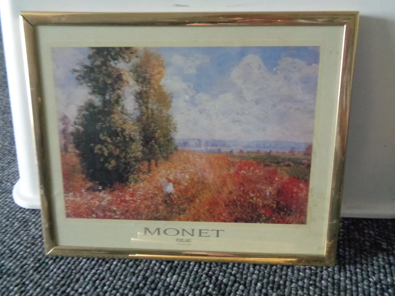 Billede 4 - Claude Monet