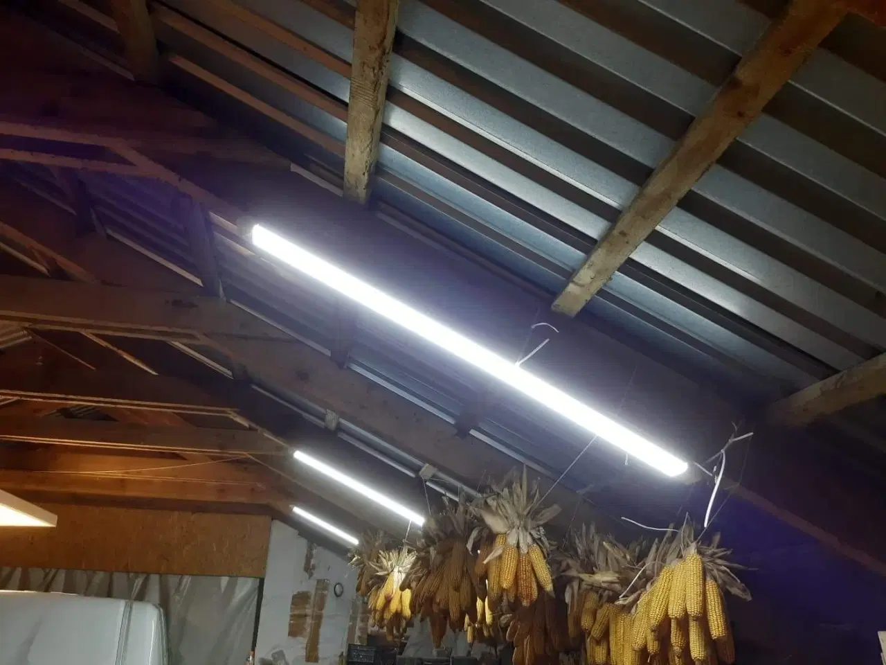 Billede 11 - Ny lamper 36W 6500K 120cm 