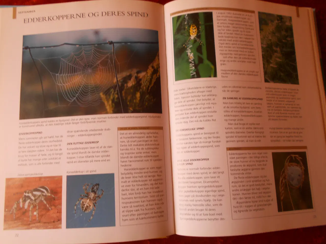 Billede 4 - Familien i naturen, Thomas Bille, m.fl.