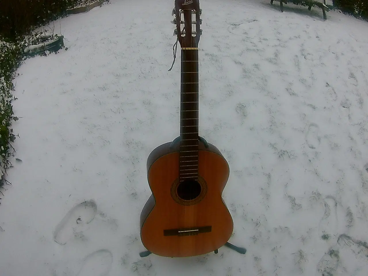 Billede 5 - Levin fra 1977` hige school