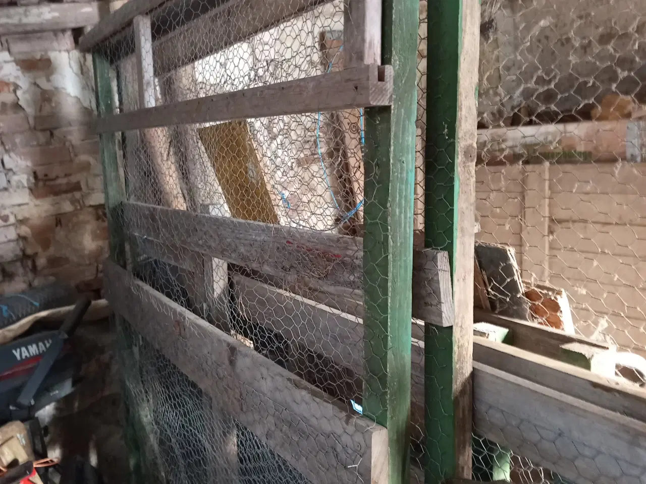 Billede 5 - Udrugning af æg