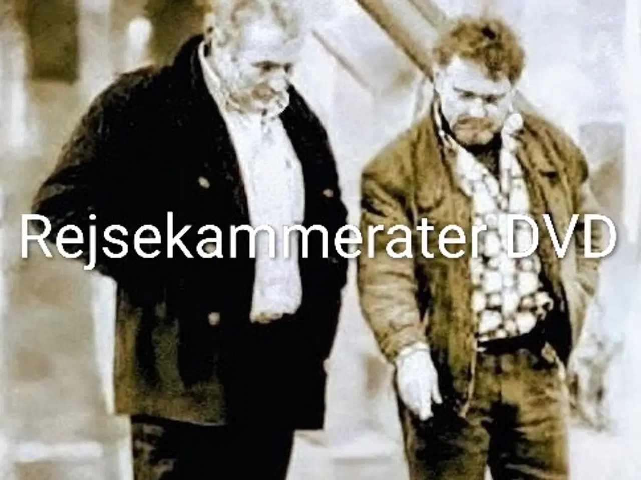 Billede 1 - KØBES - Rejsekammerater, DVD