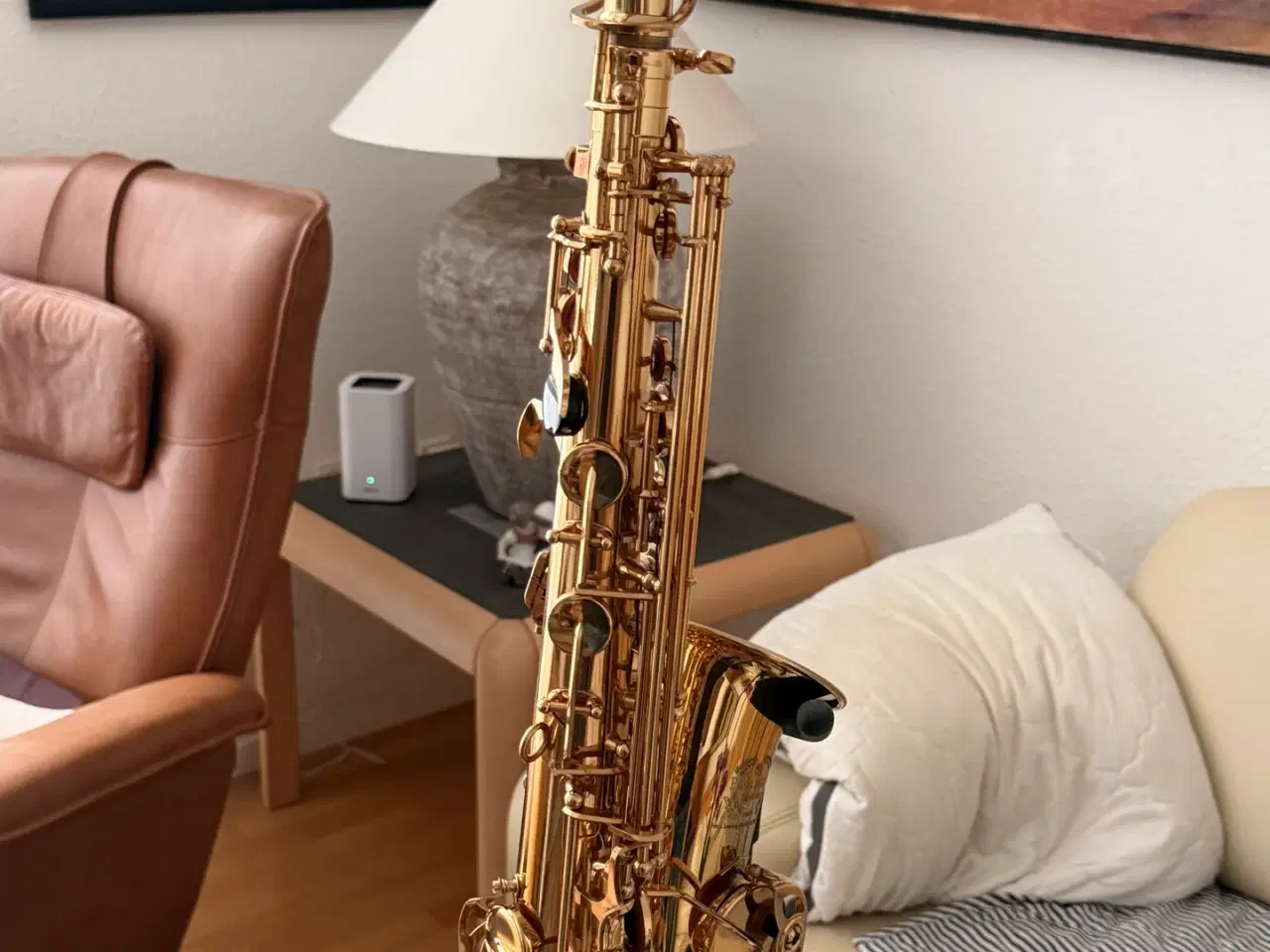 Billede 12 - Passionne PARIS - Alt saxofon, brugt få gange