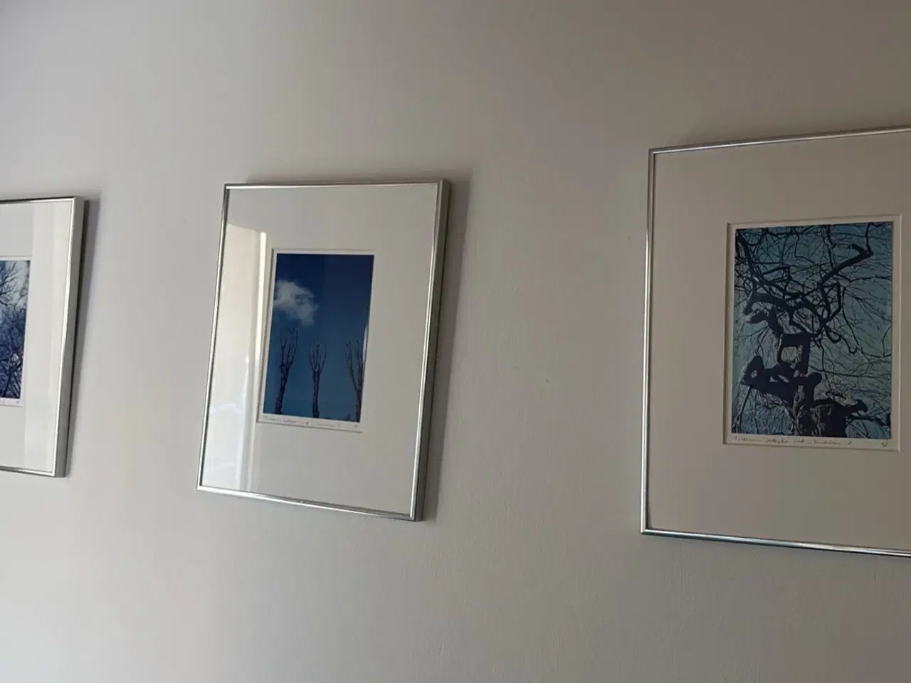 Billede 1 - Billeder 