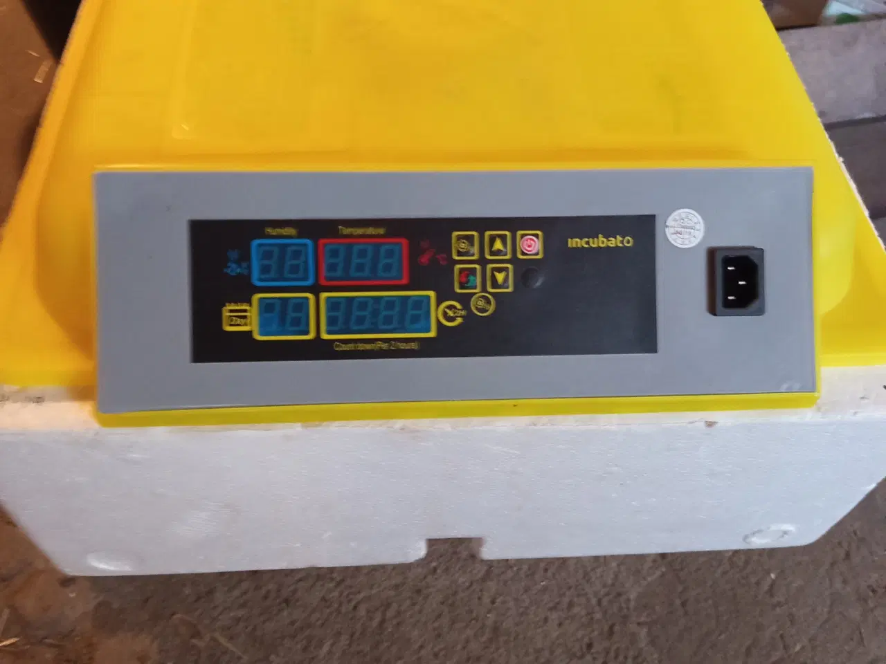 Billede 2 - Udrugning af æg