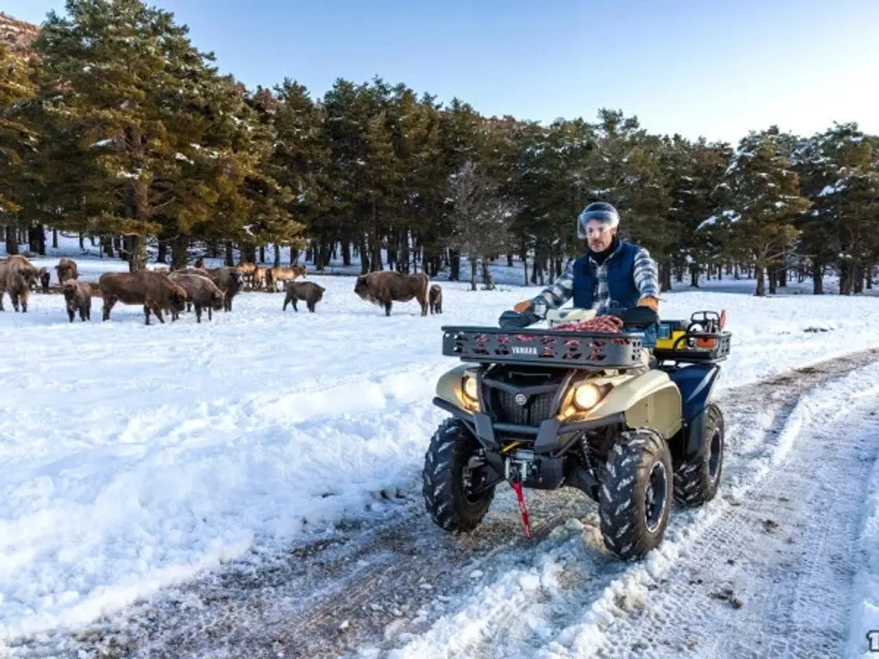 Billede 3 - Yamaha Kodiak 700 EPS Kiwami