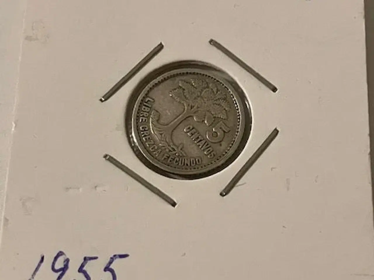 Billede 1 - 5 Centavos Guatamala 1955