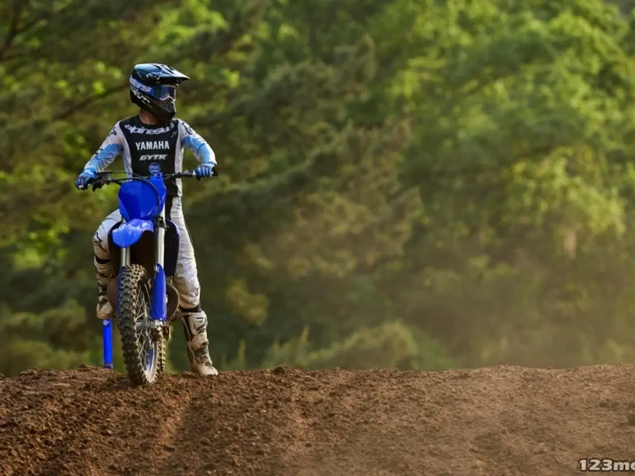 Billede 12 - Yamaha YZ 250 LC