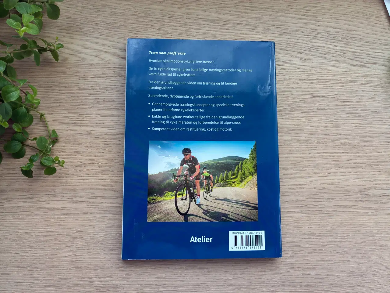 Billede 2 - RACERCYKEL TRÆNING  af Tim Böhme, Jochen Haar