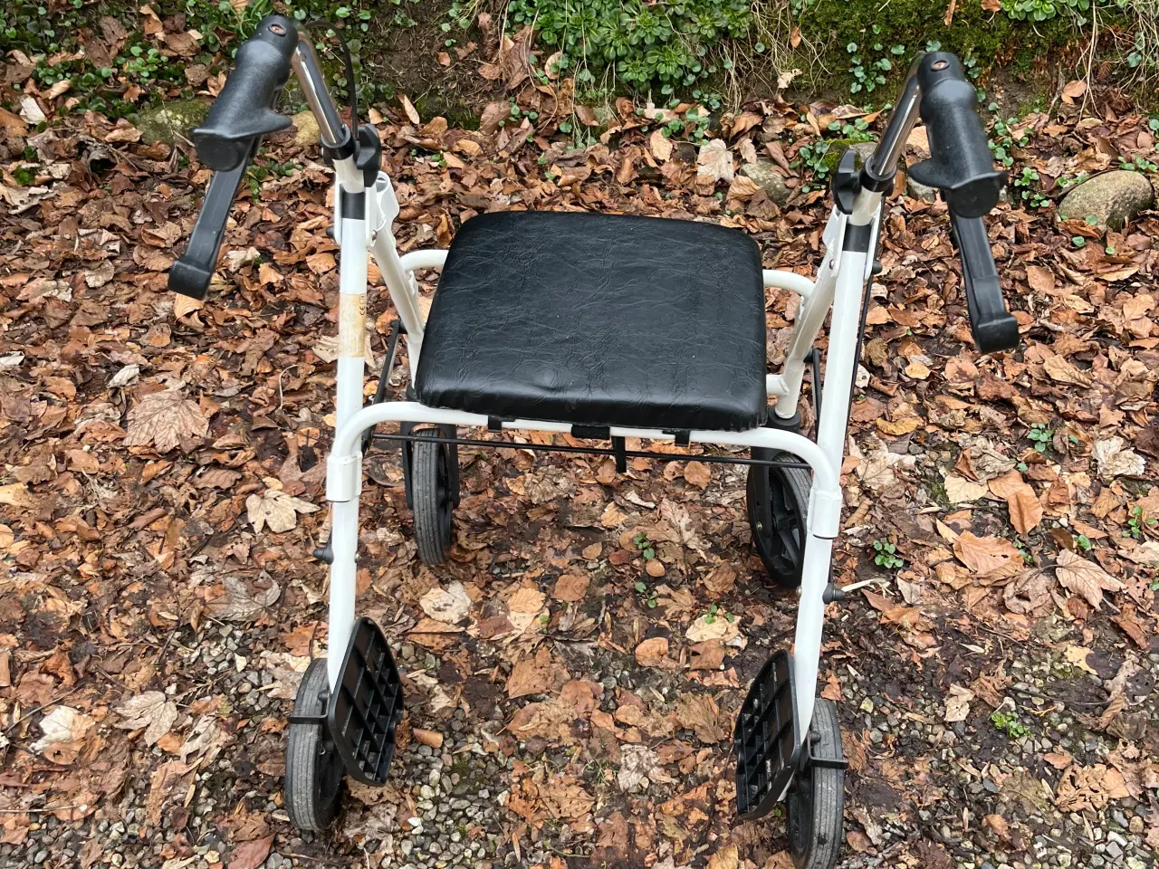 Billede 5 - Rollator/ kørestol