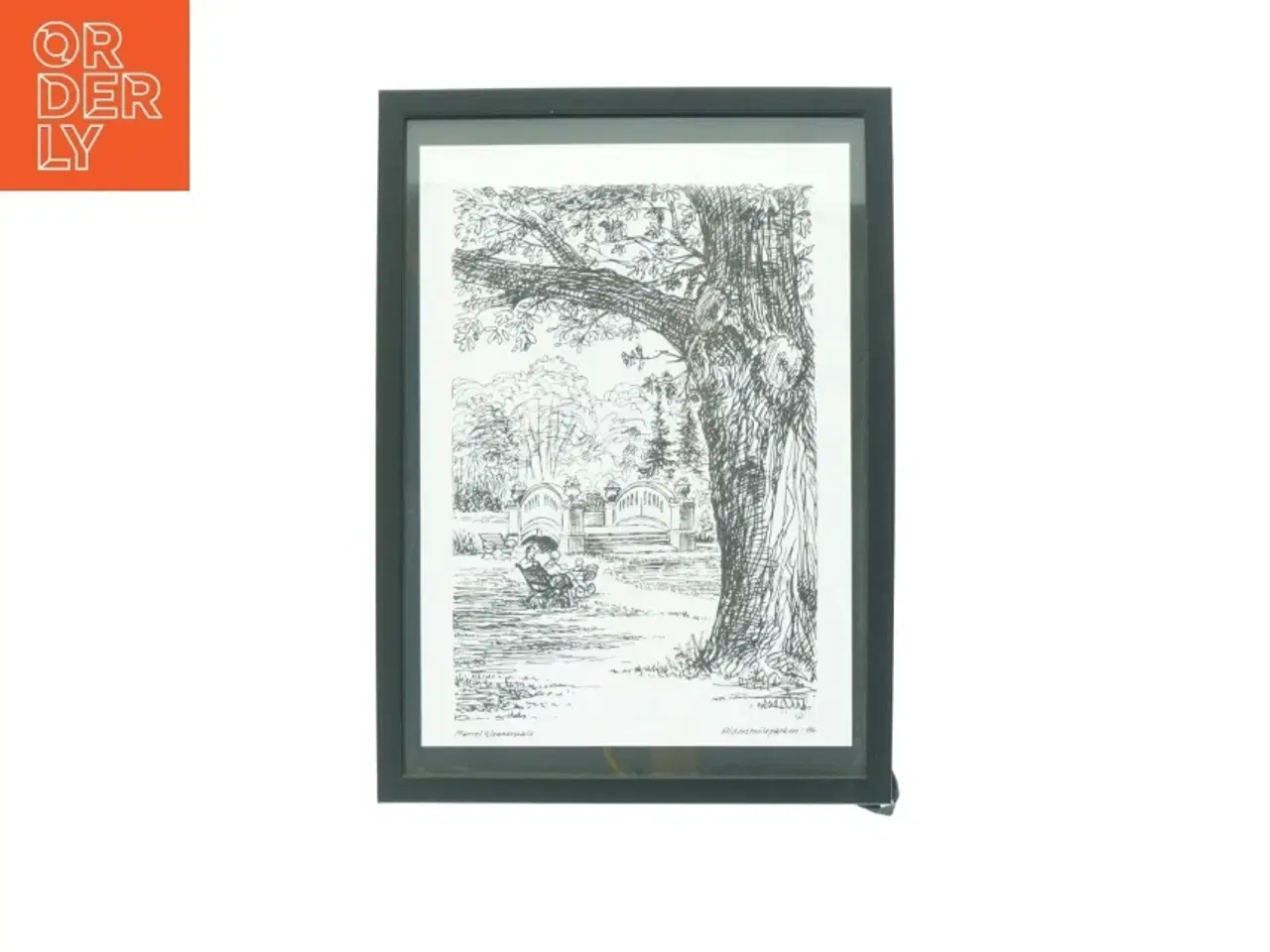 Billede 1 - Billedramme med tegning fra Aldershvileparken (str. 32 x 23 cm)
