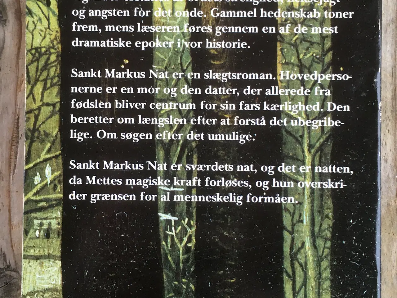 Billede 2 - Sankt Markus nat, Helle Stangerup, genre: drama