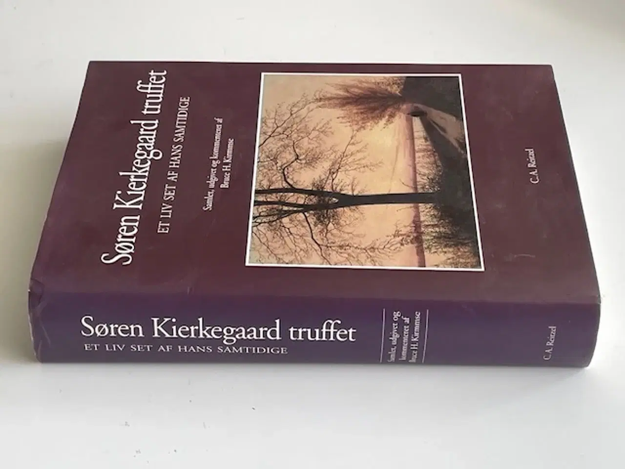 Billede 3 - Søren Kierkegaard truffet 