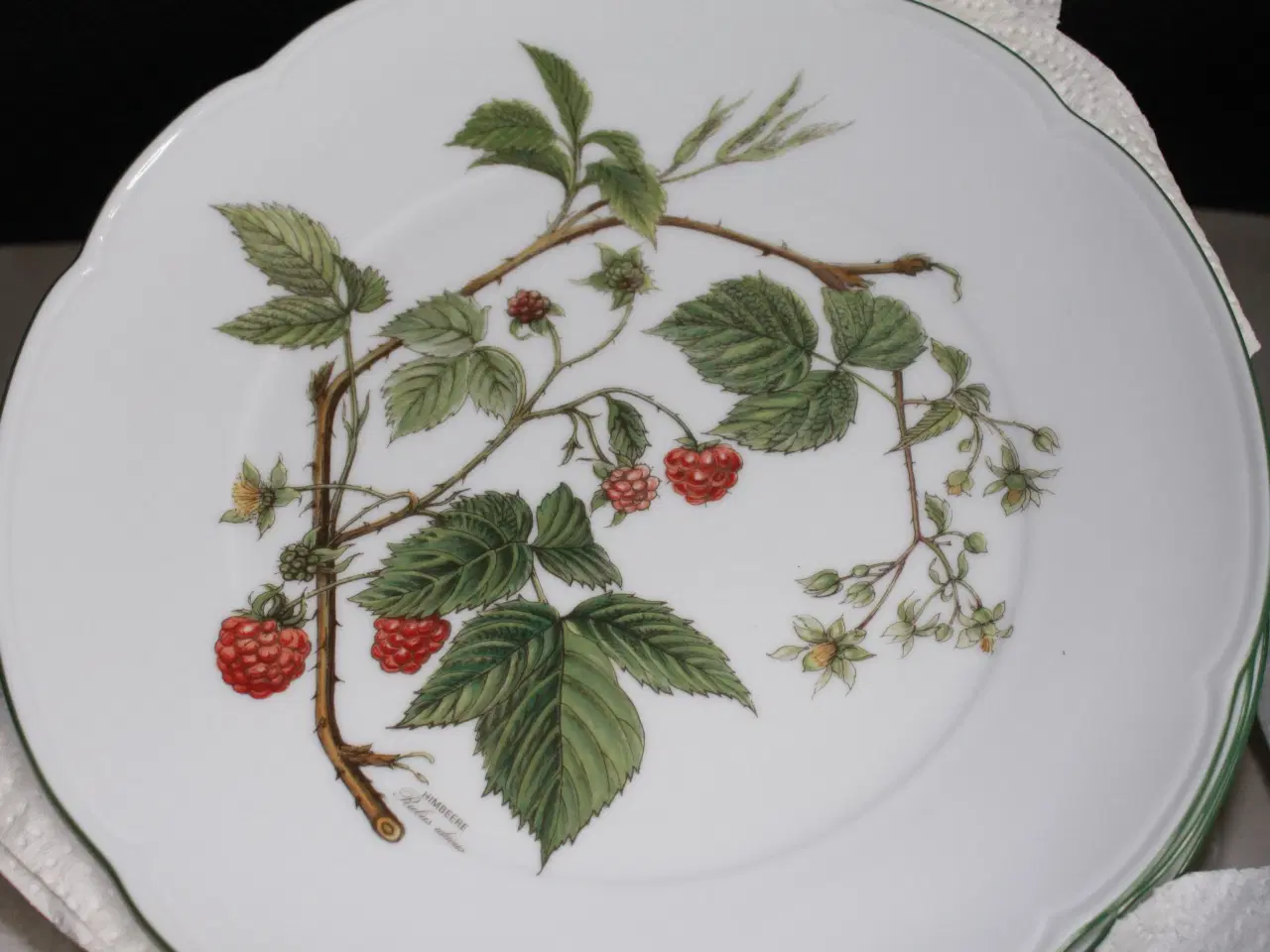 Billede 12 - Skovbær, kaffe- spisestel fra Bavaria
