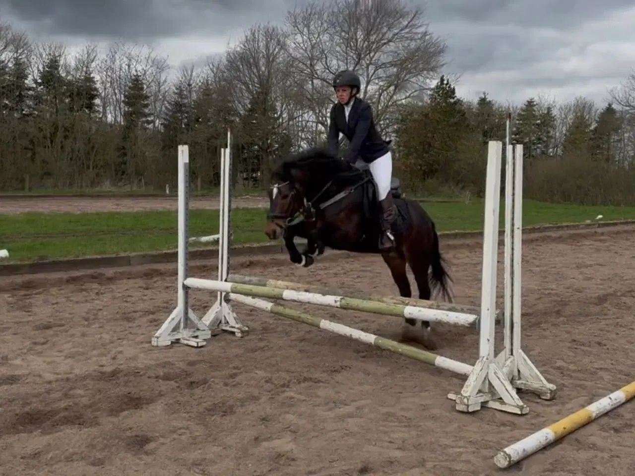 Billede 13 - Allround 2’er pony søger sin nye familie 