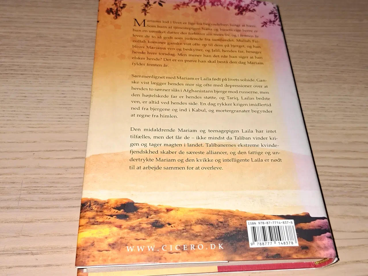 Billede 17 - Karen Fastrup, Udfordringen