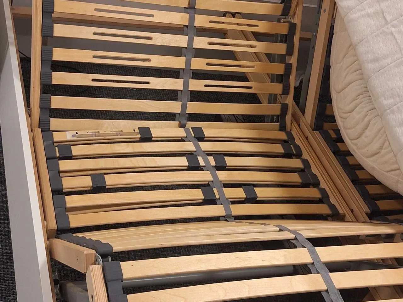 Billede 3 - Elevationsbunde med 2 madresser