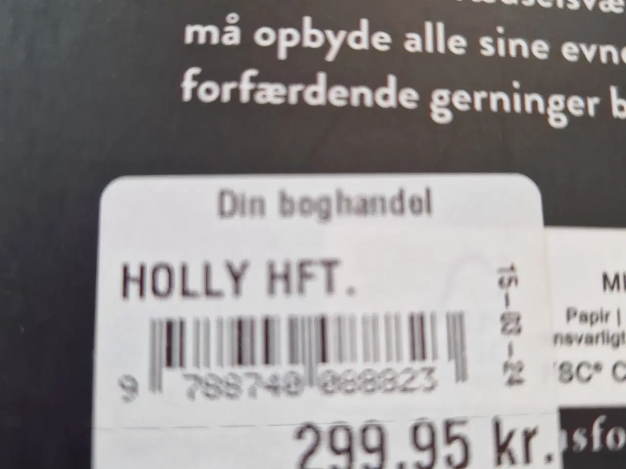 Billede 4 - Stephen King bogen Holly 