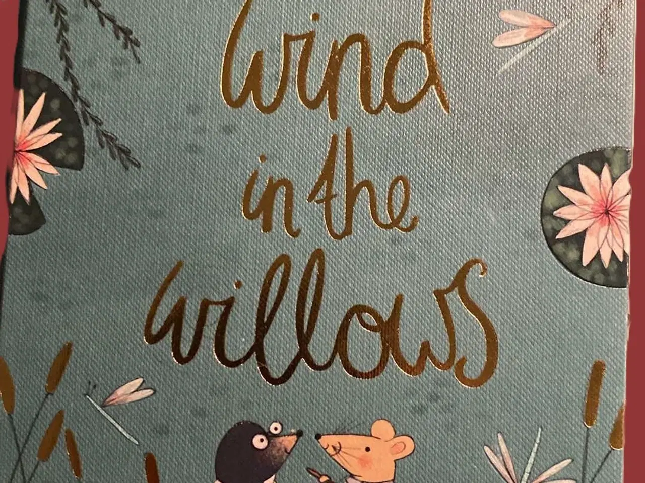 Billede 2 - The wind in the willows & Sense and sensility