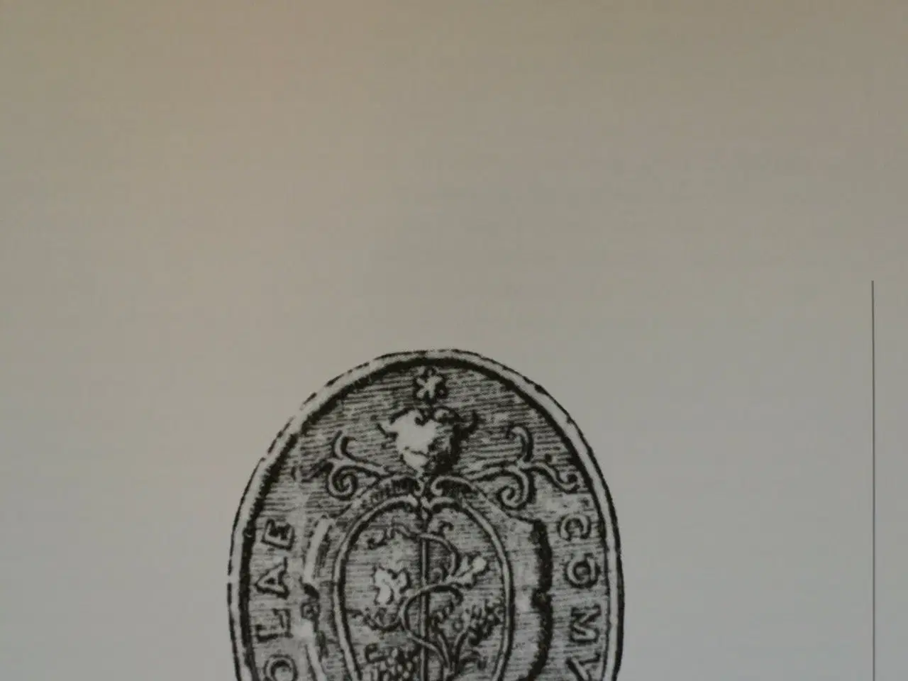 Billede 2 - la rocca di vignola, giovanni romani og milva vici