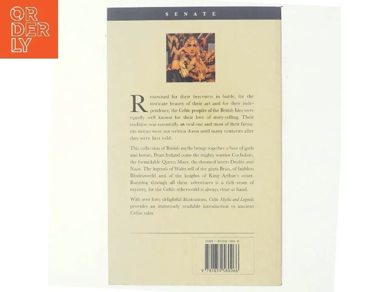 Billede 3 - Celtic Myths and Legends af Thomas William Rolleston (Bog)