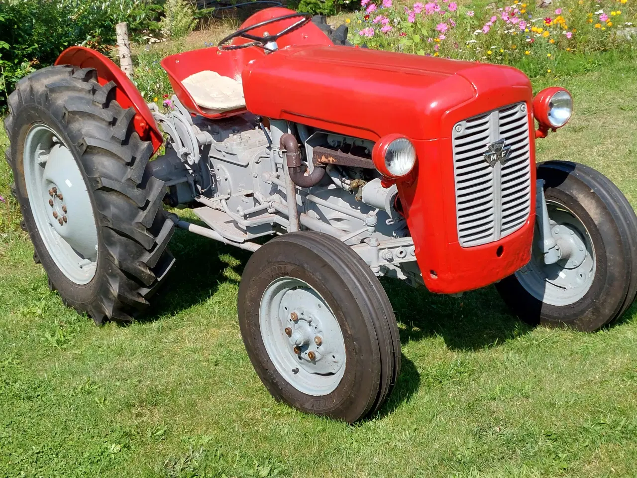 Billede 1 - Massey Ferguson 35  (benzin)