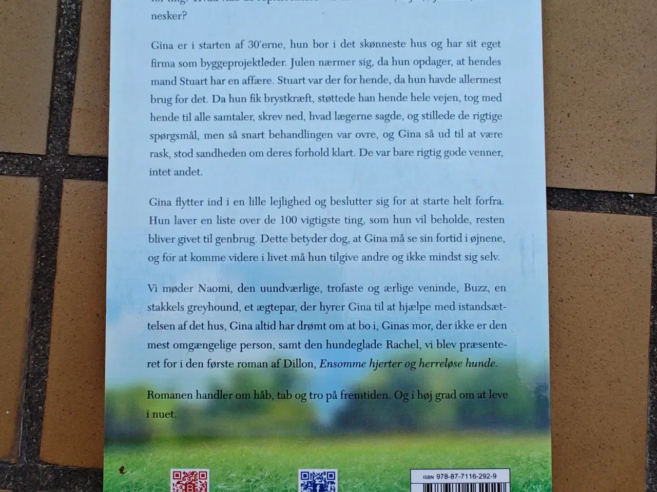 Billede 2 - Mine 100 ting BOG Roman af Lucy Dillon