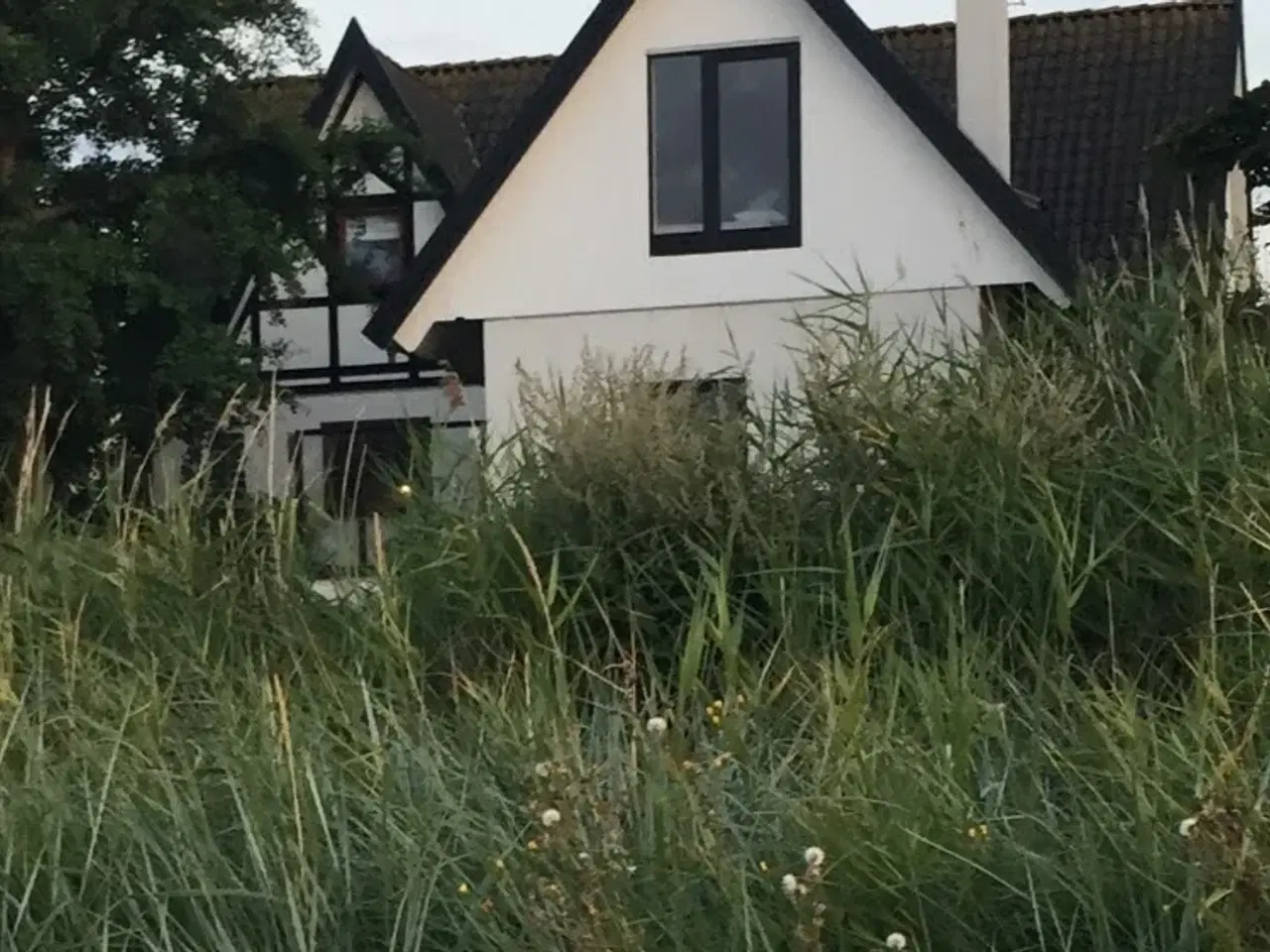 Billede 3 - Strandhus i 1. række til Nekselø Bugten