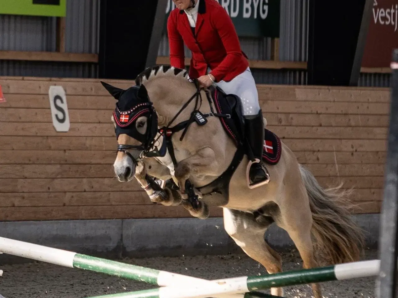 Billede 1 - Leder efter en part til min skønne pony!! 