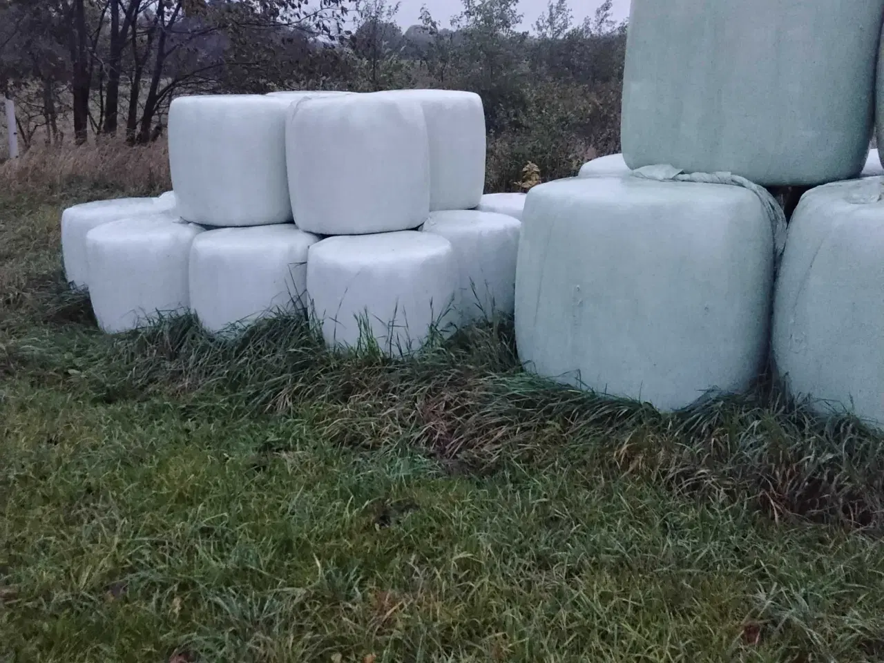 Billede 5 - Wrapballer & Hø sælges