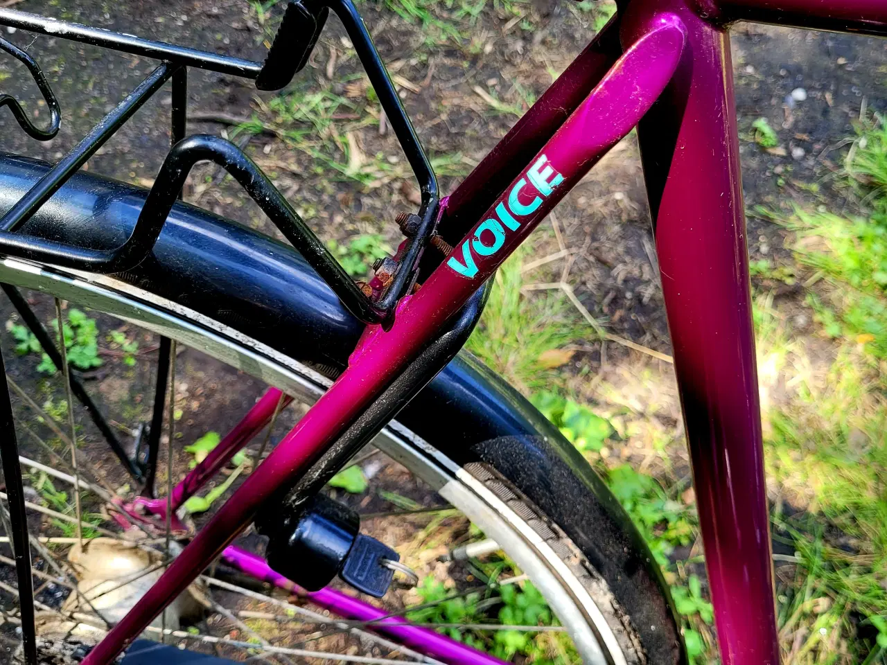 Billede 9 - SCO Everton Voice cykel