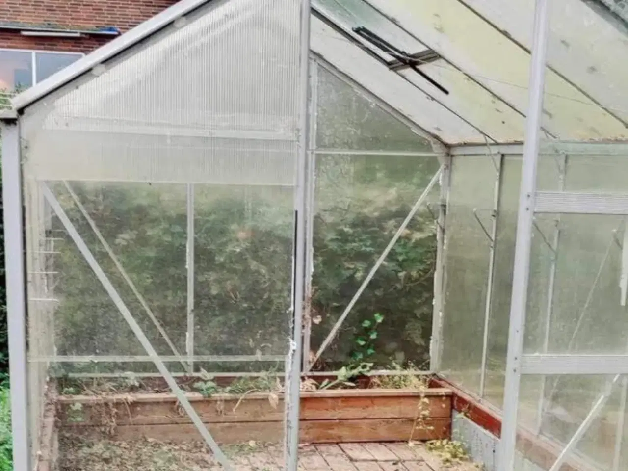 Billede 1 - Jeg søger gratis deivhus