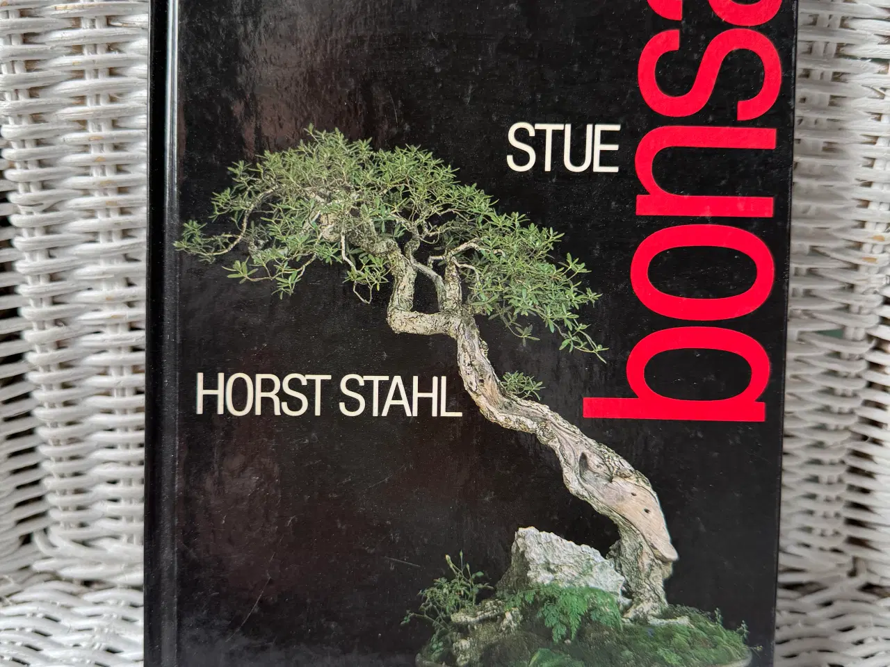 Billede 5 - Japansk have ,bonsai, japansk home