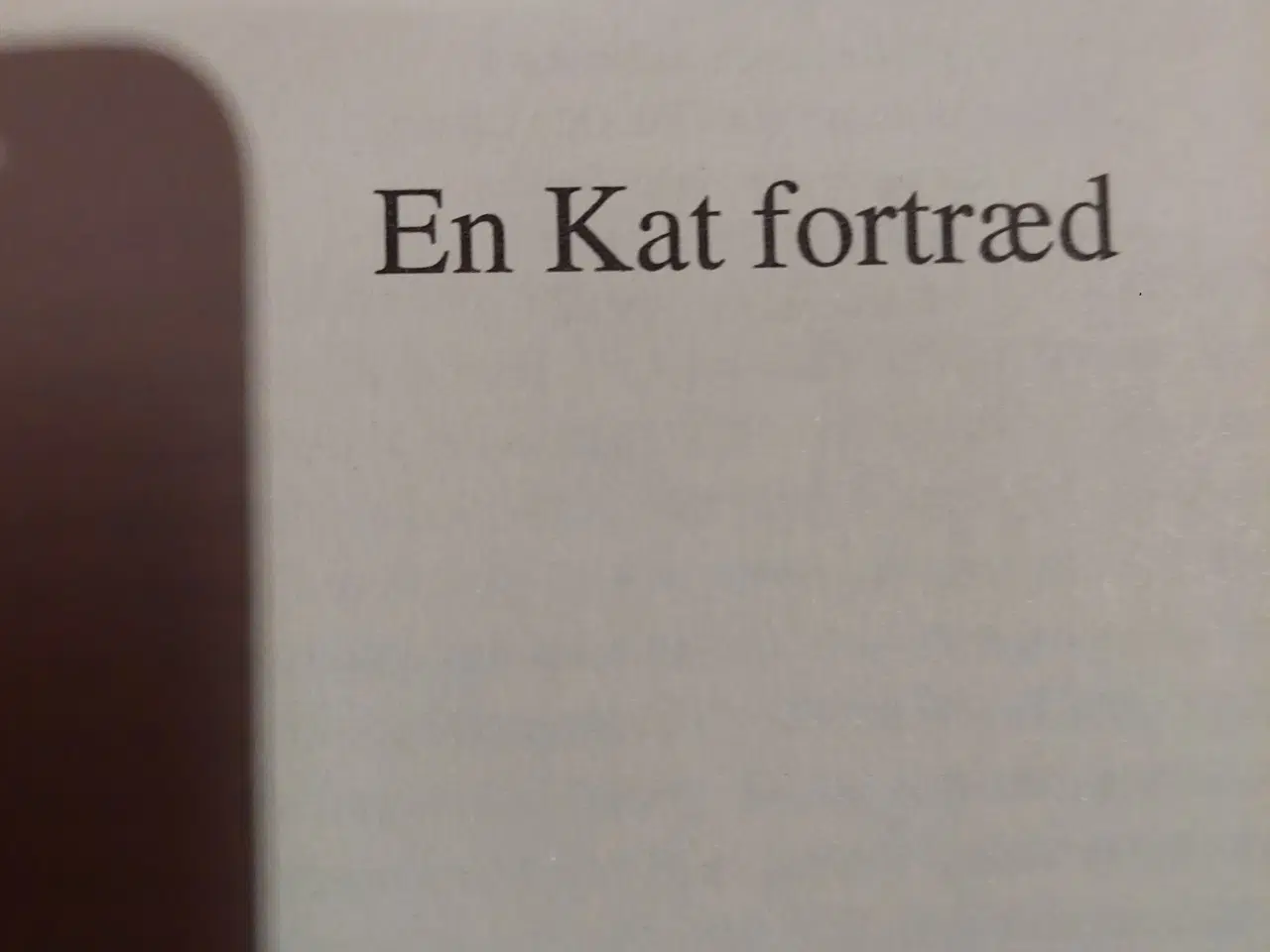 Billede 2 - En kat fortræd