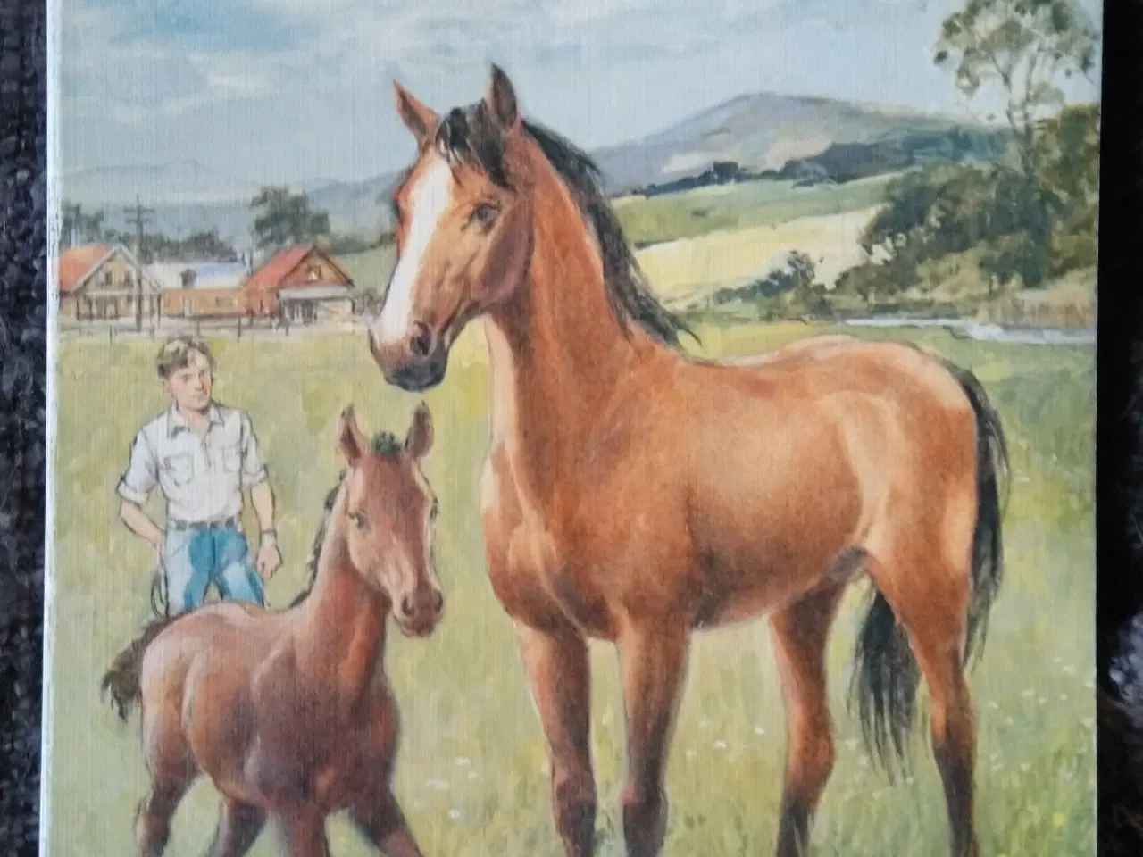 Billede 4 - Den sorte hingst