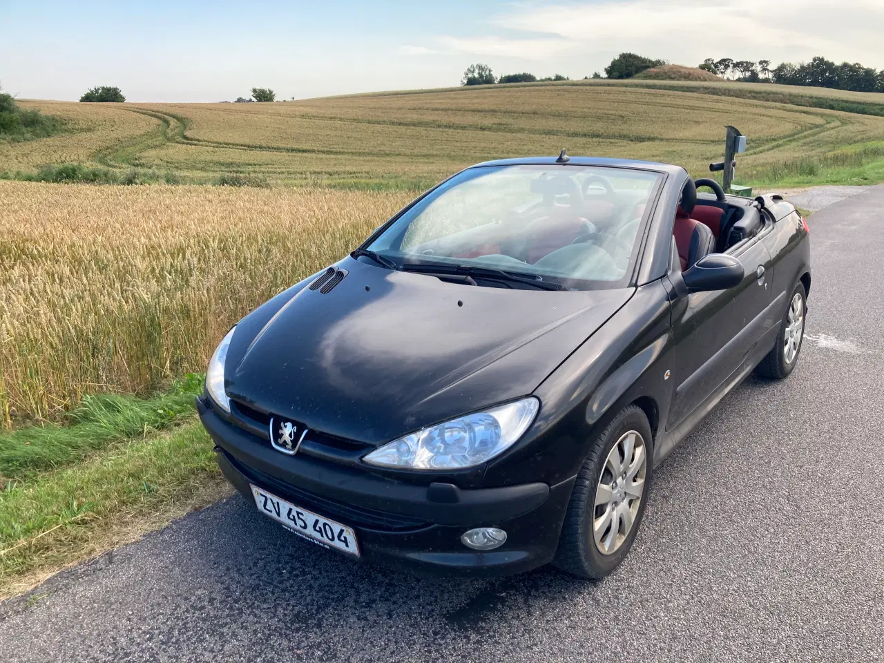 Billede 4 - Bil cabriolet Peugeot 206 cc 