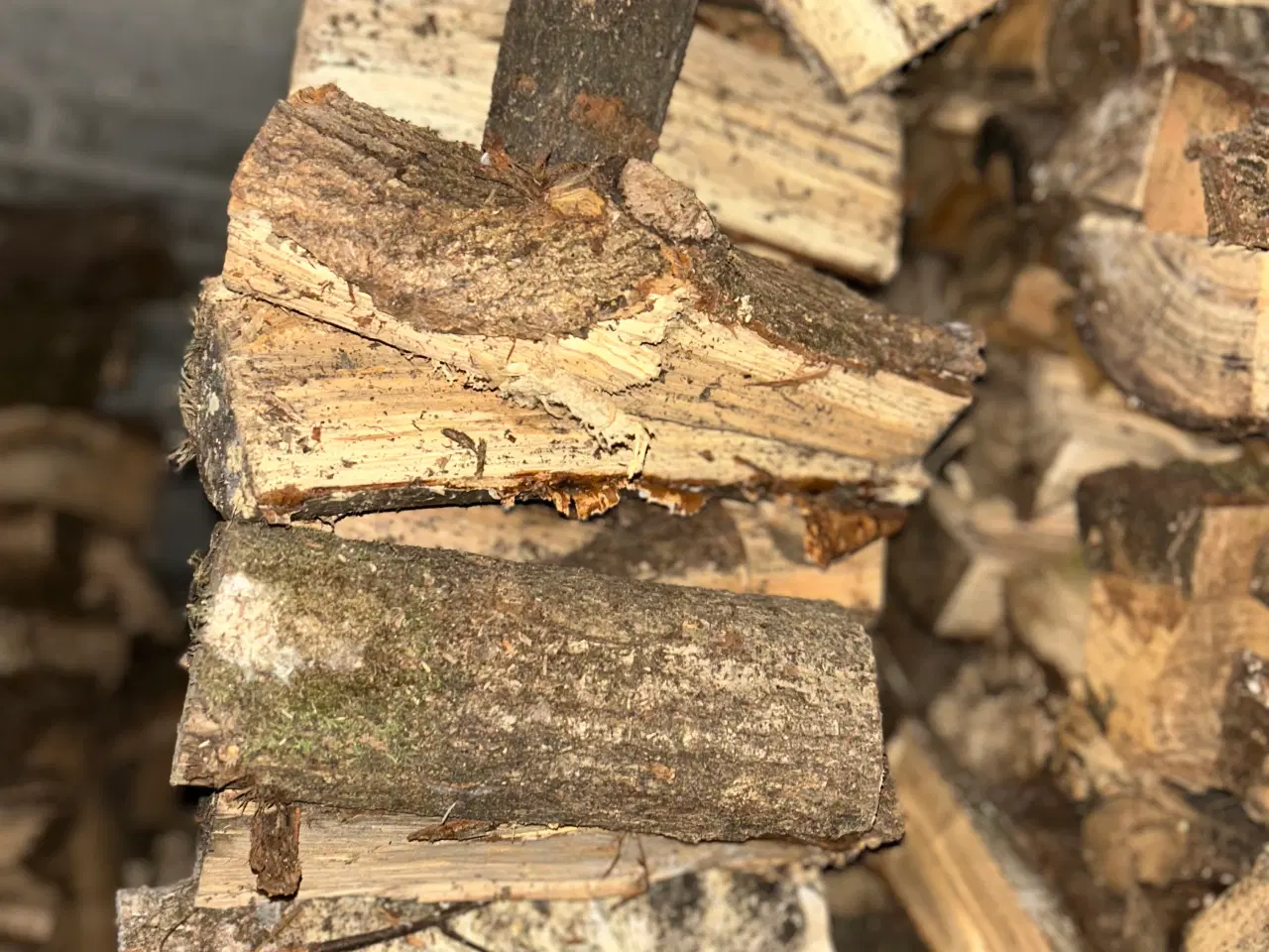 Billede 2 - Tørt brænde løvtræ