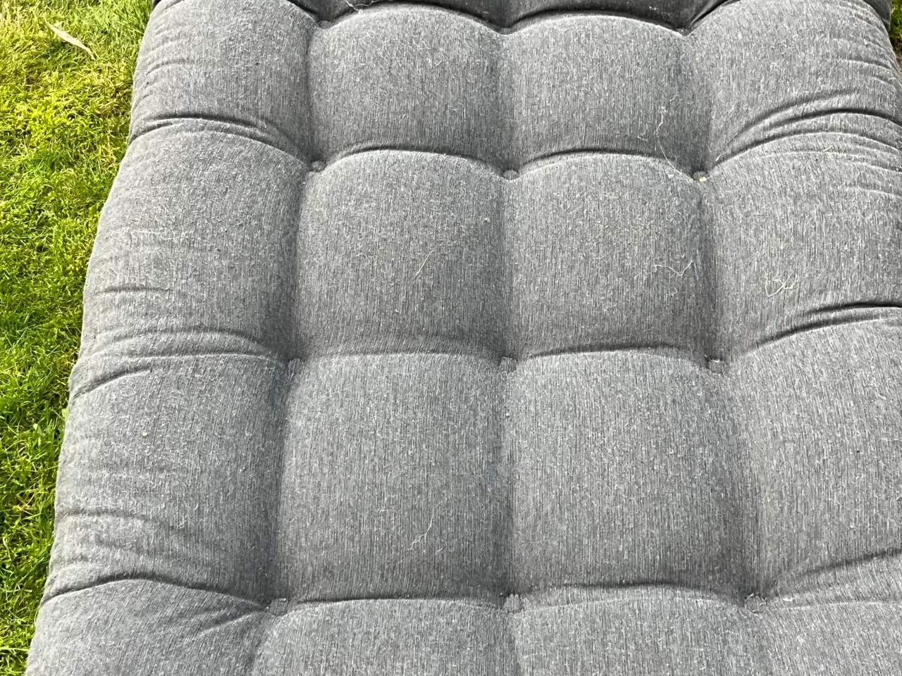 Billede 3 - Her er de havehynder du altid står og mangler.....