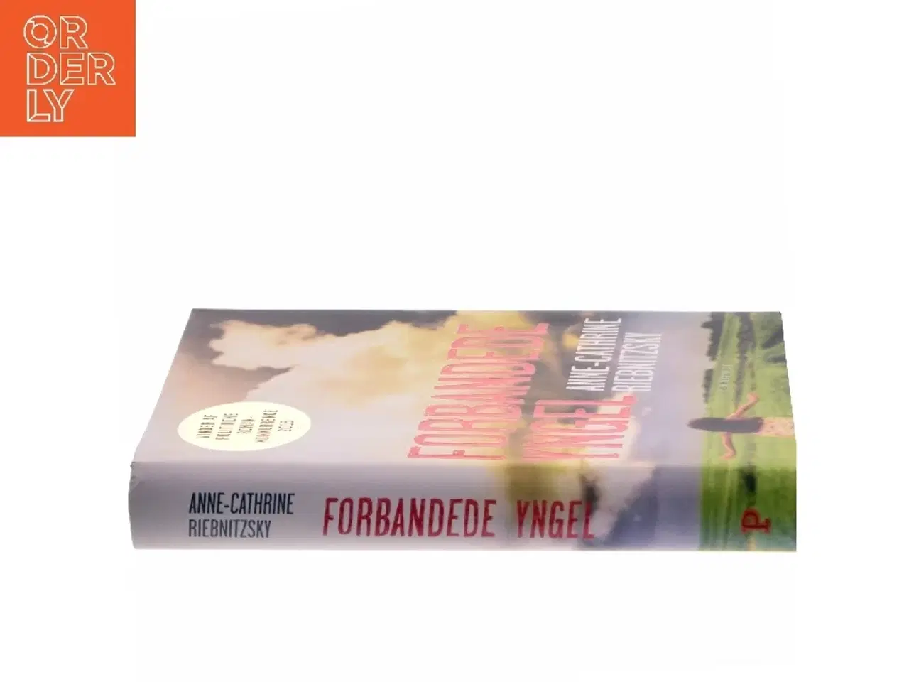 Billede 2 - Forbandede yngel (Klassesæt) af Anne-Cathrine Riebnitzsky (Bog)