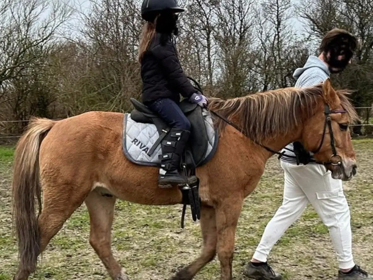 Billede 2 - Skøn 2’er pony søger nyt hjem 