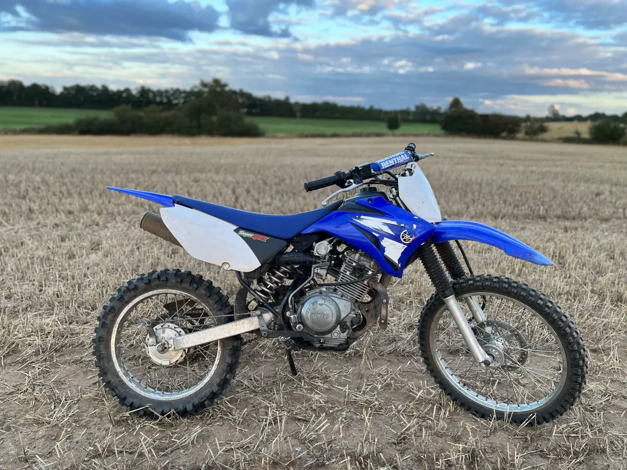 Billede 8 - Yamaha  ttr 125 2008