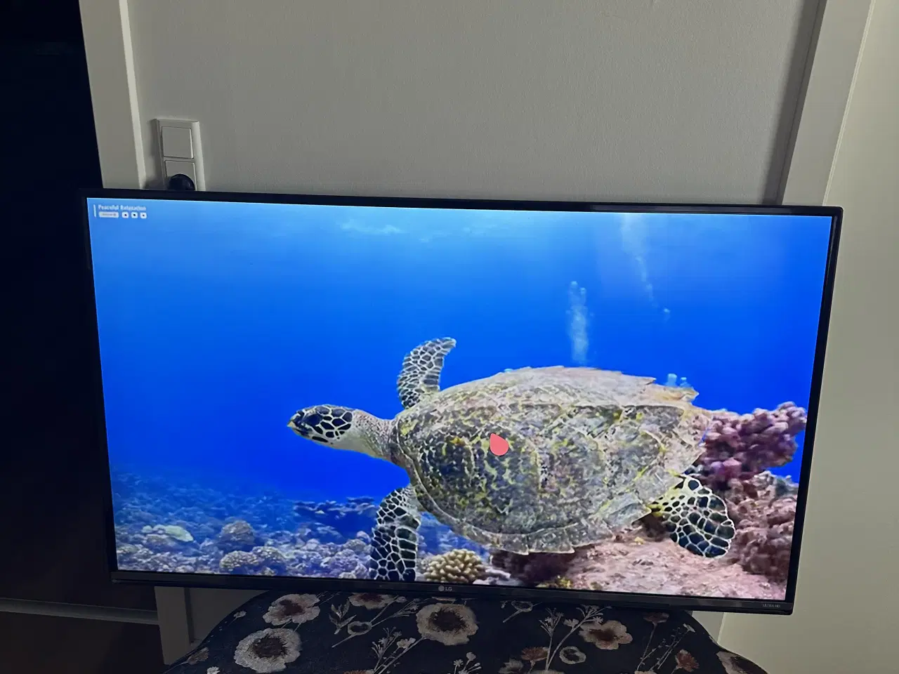 Billede 2 - LG 49" 4K UHD SMART TV 