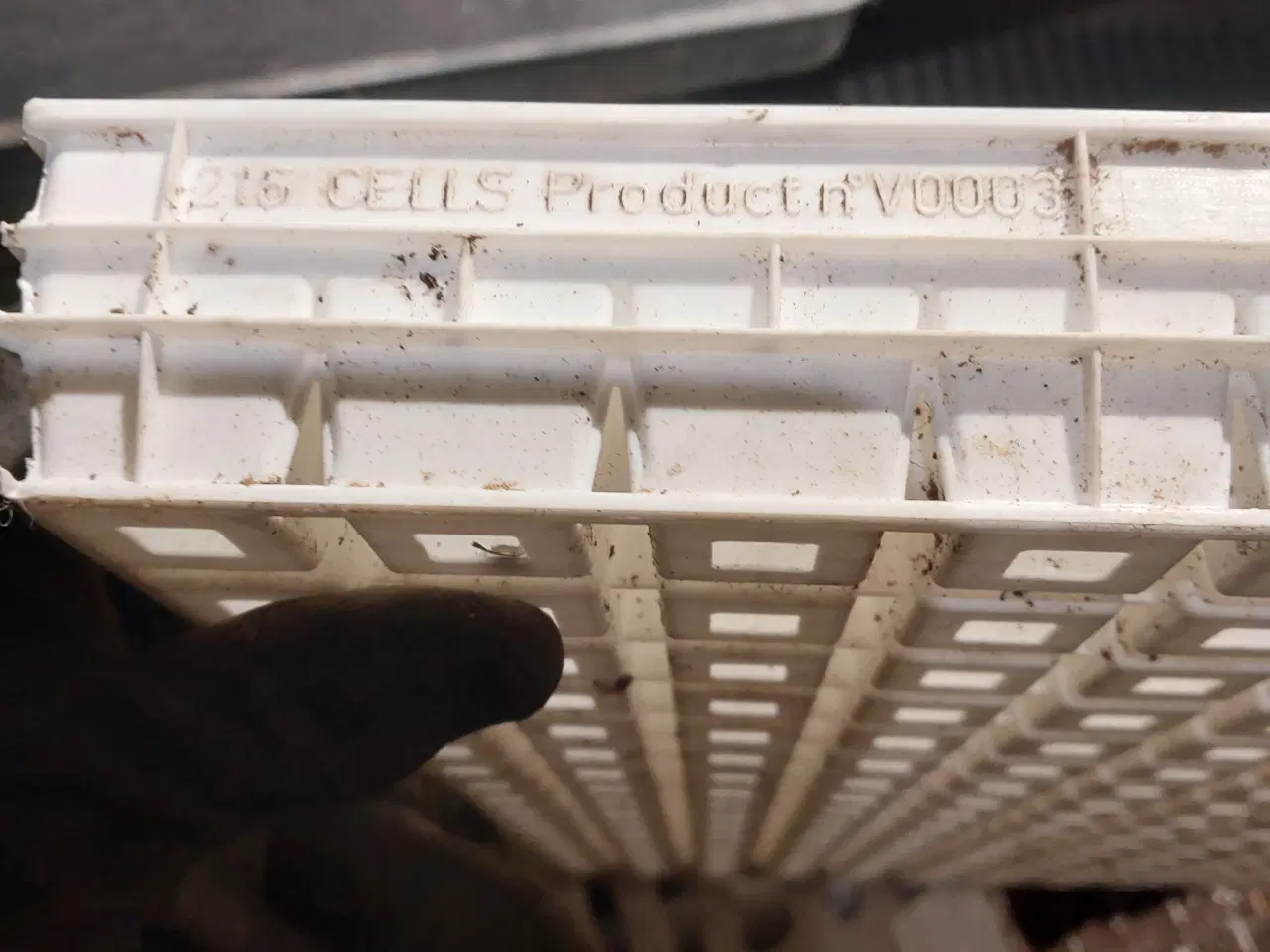 Billede 3 - Professionel plantebakker til forspiring 