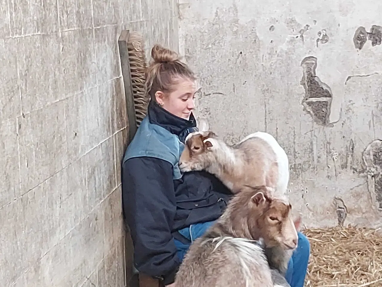 Billede 7 - 4 gede kid