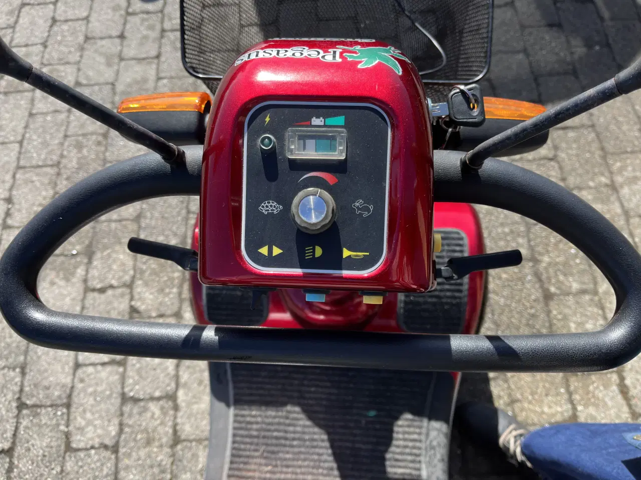 Billede 2 - Pegasus Sneppen