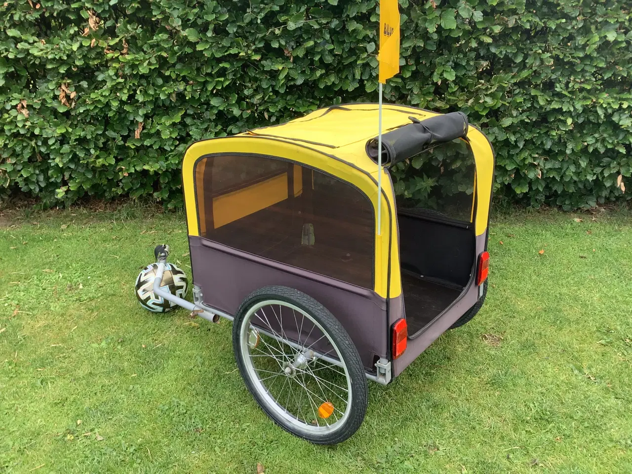 Billede 3 - BLUE BIRD hundetrailer