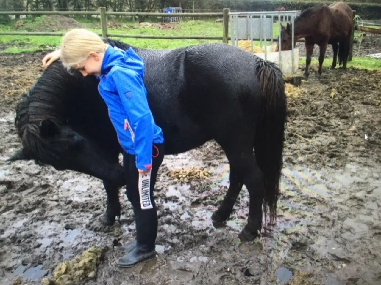 Billede 8 - Skøn turpony søger nyt hjem