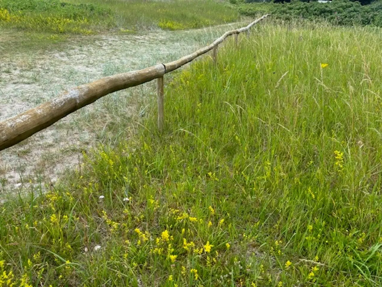 Billede 2 - Robinie natur stolper - pæle