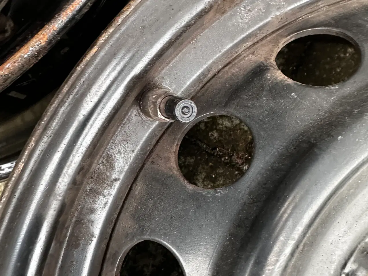 Billede 4 - Toyota 16”stålfælge med dæk tryk sensor 