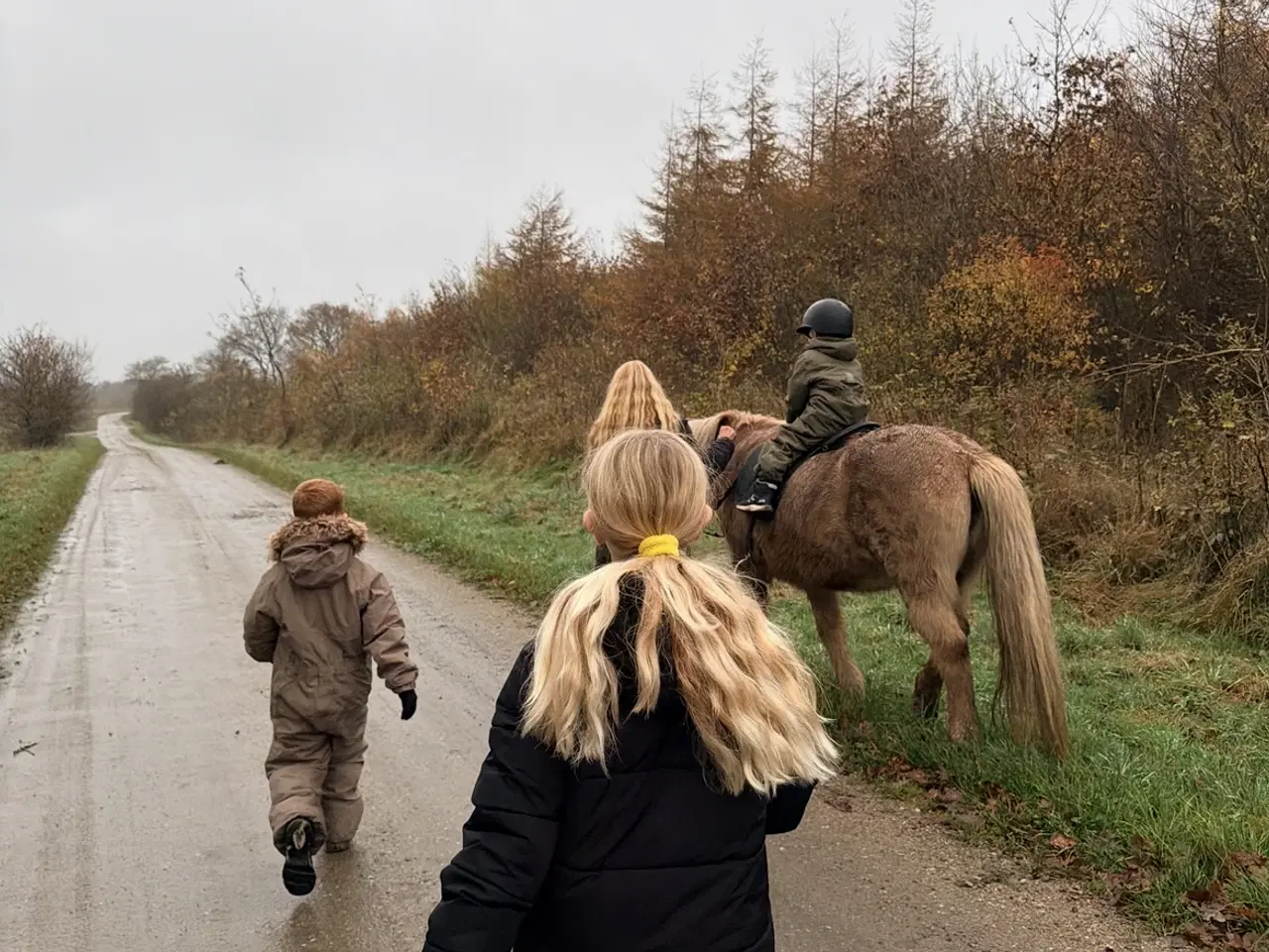 Billede 8 - Tøltende Skovturs- / Konehest